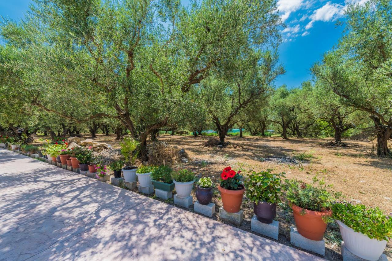 Holiday home Mary's Olive Grove House By 
