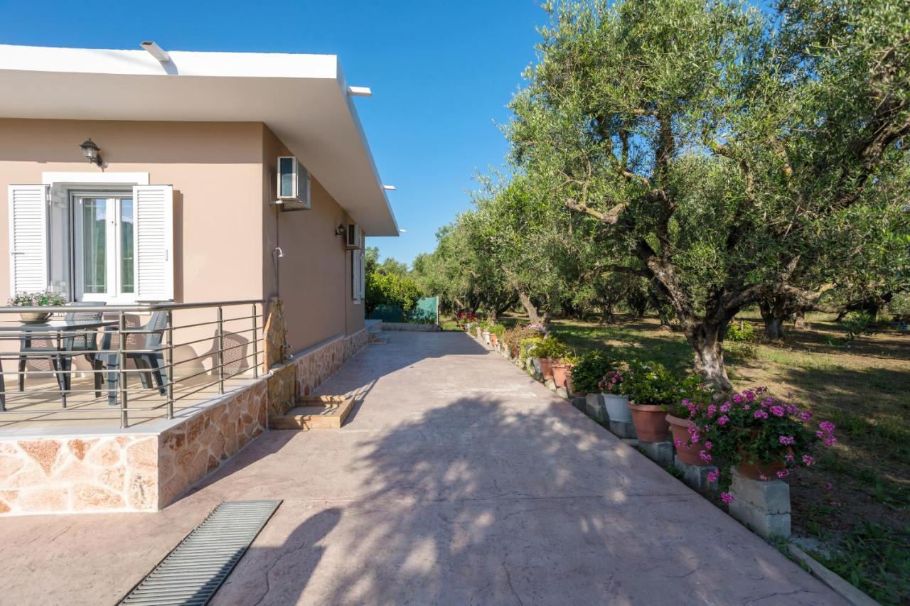 Mary's Olive Grove House By 